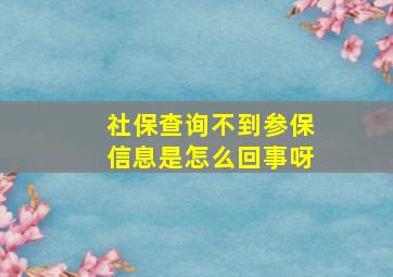 社保查询不到参保信息是怎么回事呀