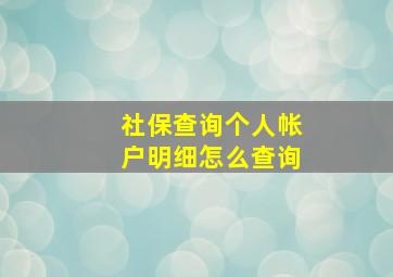 社保查询个人帐户明细怎么查询