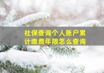 社保查询个人账户累计缴费年限怎么查询