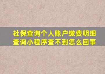 社保查询个人账户缴费明细查询小程序查不到怎么回事