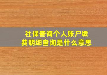 社保查询个人账户缴费明细查询是什么意思