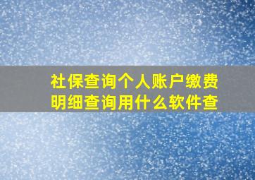 社保查询个人账户缴费明细查询用什么软件查