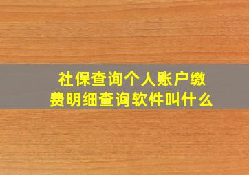 社保查询个人账户缴费明细查询软件叫什么