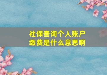 社保查询个人账户缴费是什么意思啊