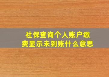 社保查询个人账户缴费显示未到账什么意思