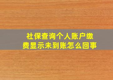 社保查询个人账户缴费显示未到账怎么回事