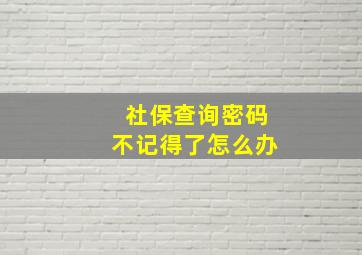 社保查询密码不记得了怎么办