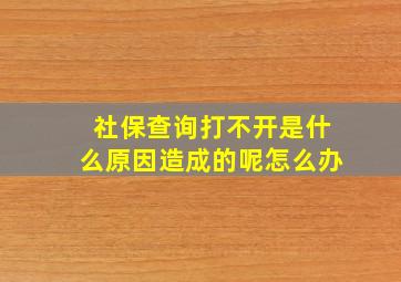 社保查询打不开是什么原因造成的呢怎么办