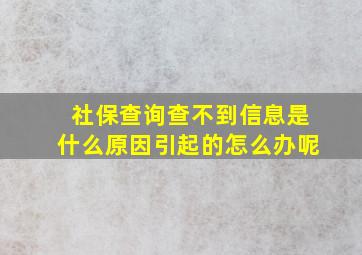 社保查询查不到信息是什么原因引起的怎么办呢