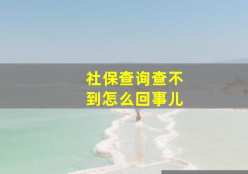 社保查询查不到怎么回事儿