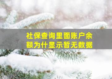 社保查询里面账户余额为什显示暂无数据