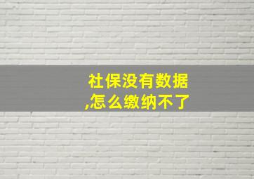 社保没有数据,怎么缴纳不了