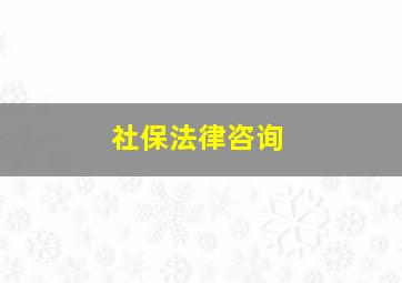 社保法律咨询