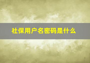 社保用户名密码是什么