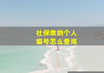 社保缴纳个人编号怎么查询