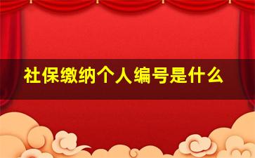 社保缴纳个人编号是什么