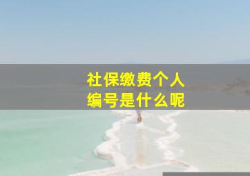 社保缴费个人编号是什么呢