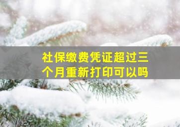 社保缴费凭证超过三个月重新打印可以吗