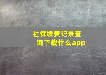 社保缴费记录查询下载什么app