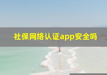 社保网络认证app安全吗