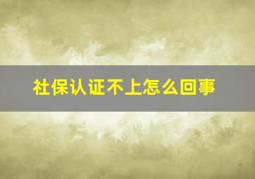 社保认证不上怎么回事