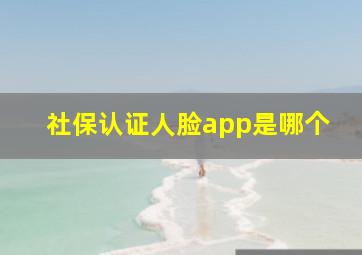 社保认证人脸app是哪个