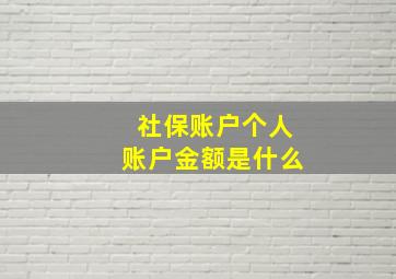 社保账户个人账户金额是什么