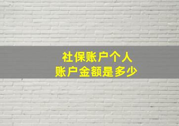 社保账户个人账户金额是多少