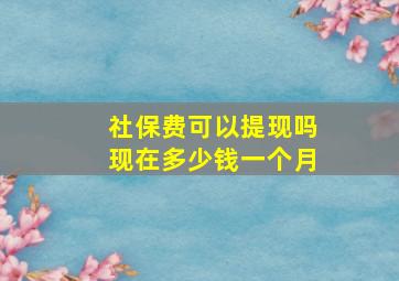 社保费可以提现吗现在多少钱一个月