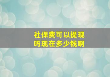 社保费可以提现吗现在多少钱啊