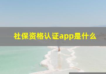 社保资格认证app是什么