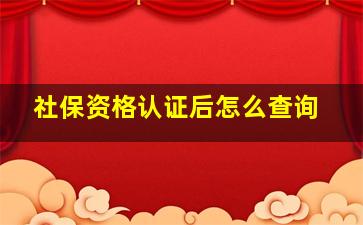 社保资格认证后怎么查询