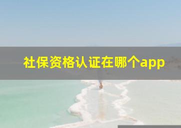 社保资格认证在哪个app