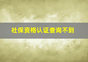 社保资格认证查询不到