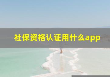 社保资格认证用什么app