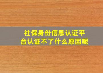 社保身份信息认证平台认证不了什么原因呢