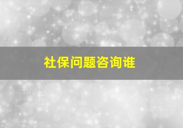 社保问题咨询谁