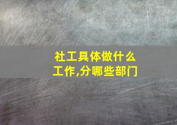 社工具体做什么工作,分哪些部门