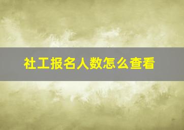 社工报名人数怎么查看