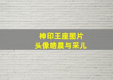 神印王座图片头像皓晨与采儿