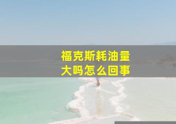 福克斯耗油量大吗怎么回事