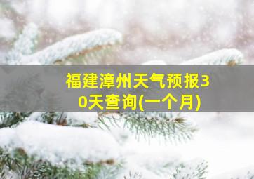 福建漳州天气预报30天查询(一个月)