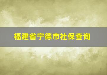 福建省宁德市社保查询