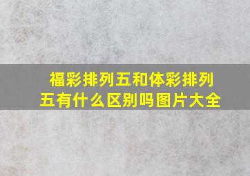 福彩排列五和体彩排列五有什么区别吗图片大全