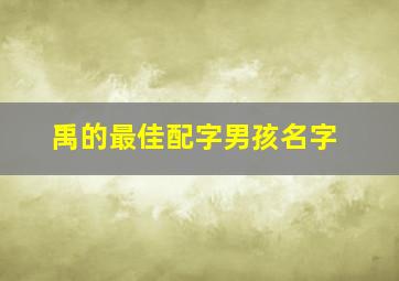 禹的最佳配字男孩名字