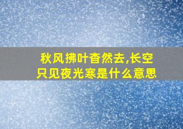 秋风拂叶杳然去,长空只见夜光寒是什么意思