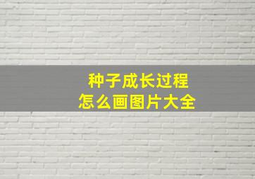 种子成长过程怎么画图片大全