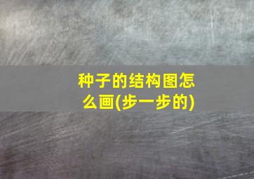 种子的结构图怎么画(步一步的)