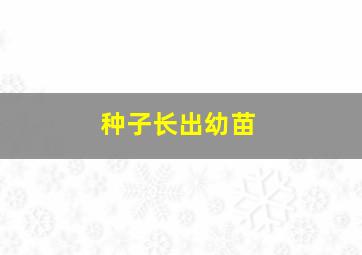 种子长出幼苗