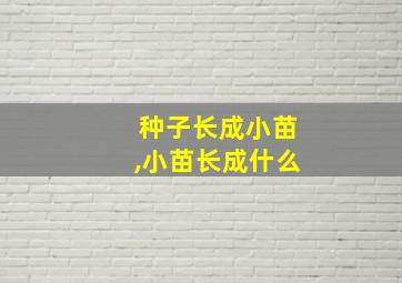 种子长成小苗,小苗长成什么